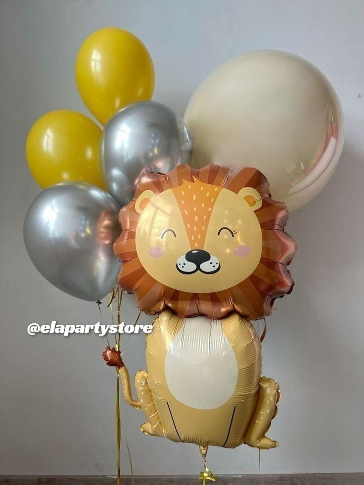 KROM ASLAN FOLYO BALON KONSEPT