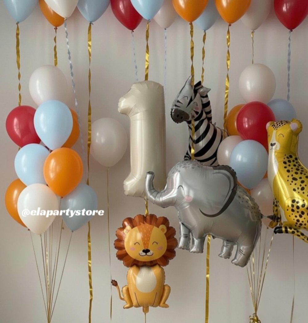 ZOO FOLYO BALON KONSEPT 