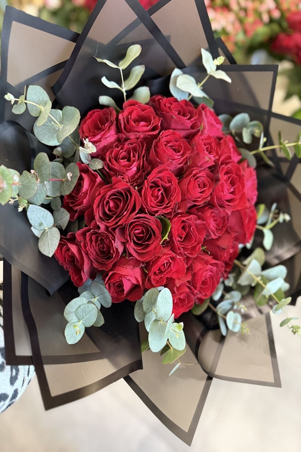 Amour Collection Classical