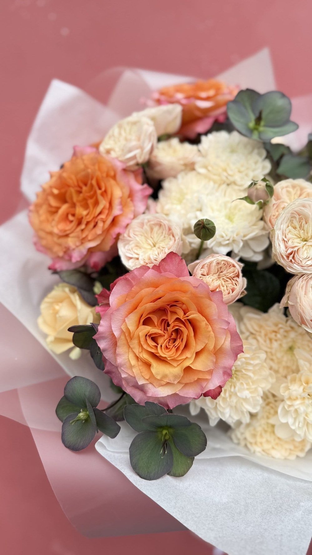Royal Blush