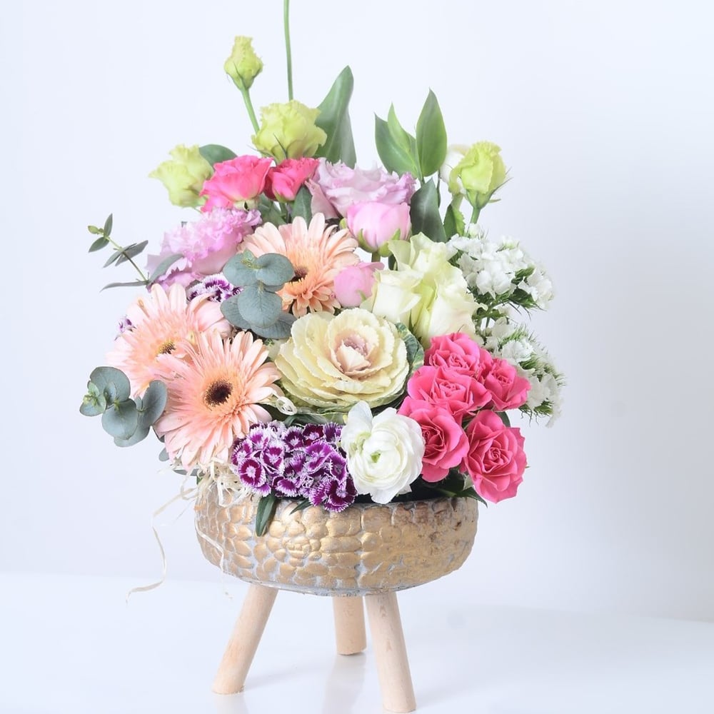 Desenli Saksıda Gerbera ve Hüsnü Yusuflar 