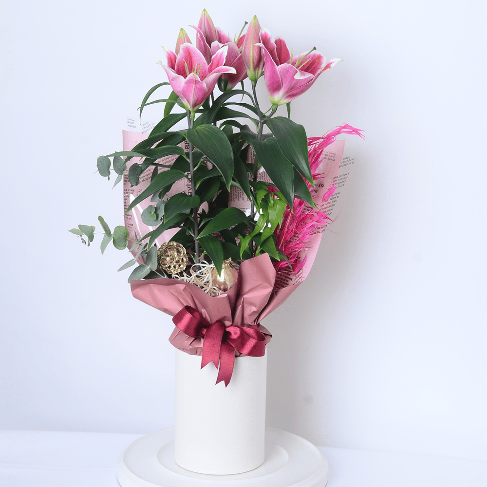 Seramik Saksıda Pembe Lilyum Çiçeği Boy 50 cm