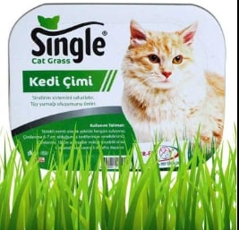 SINGLE KEDİ ÇİMİ