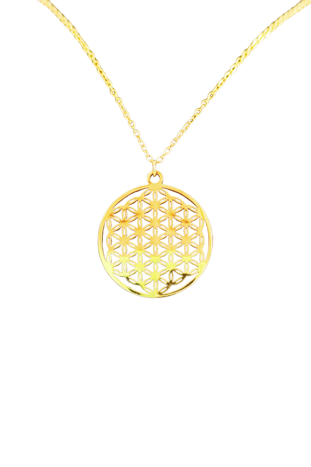 Sacred Bloom – Yaşam Çiçeği Sembol Kolye