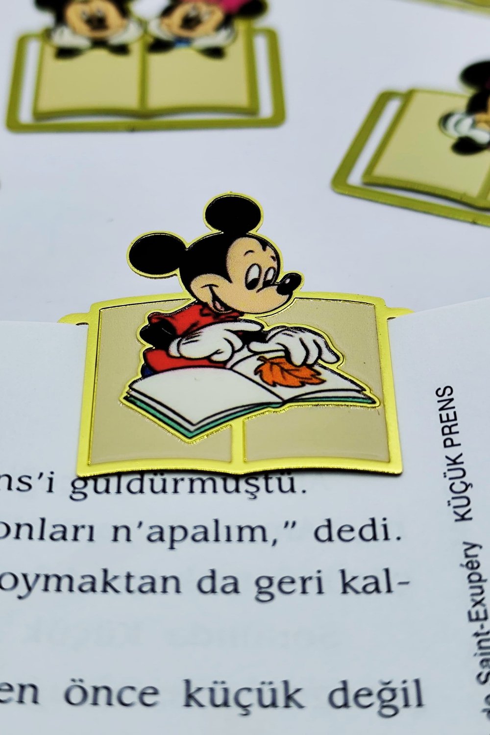 Şirin Kitap Okuyucu Kitap Klipsi