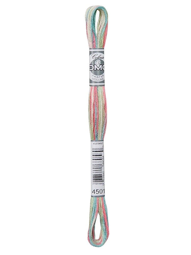 DMC Coloris Muline İplik 517-4501