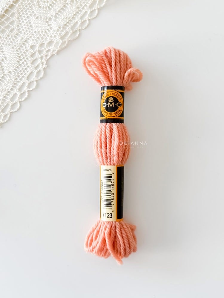 DMC Wool Skein No: 7123