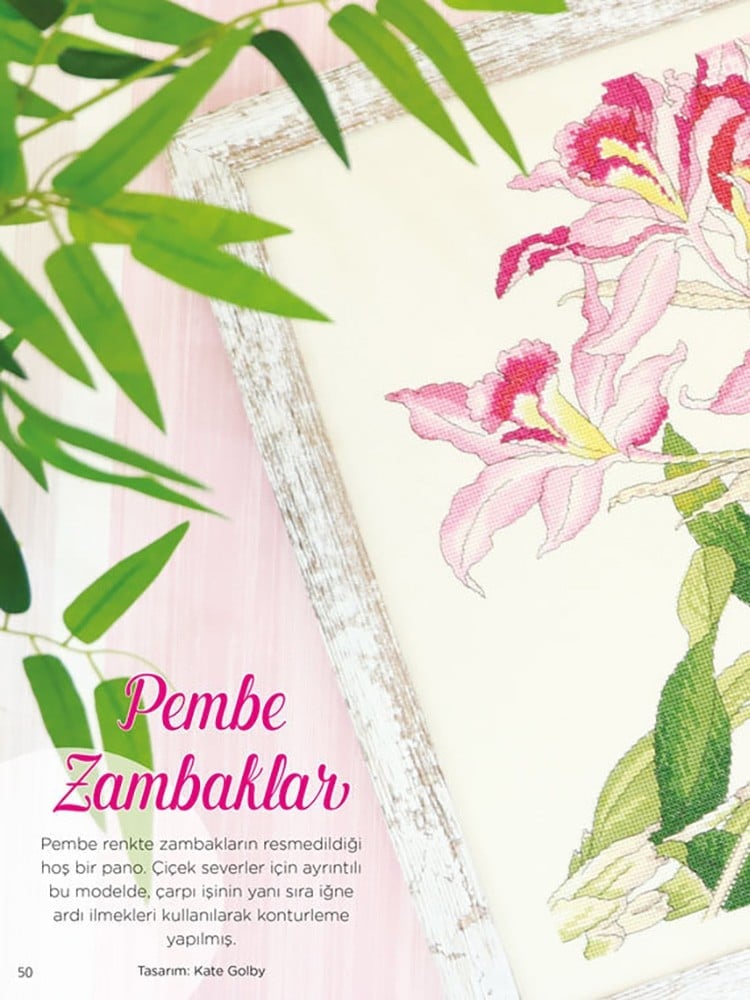 Cross Stitch Magazine Issue : 57