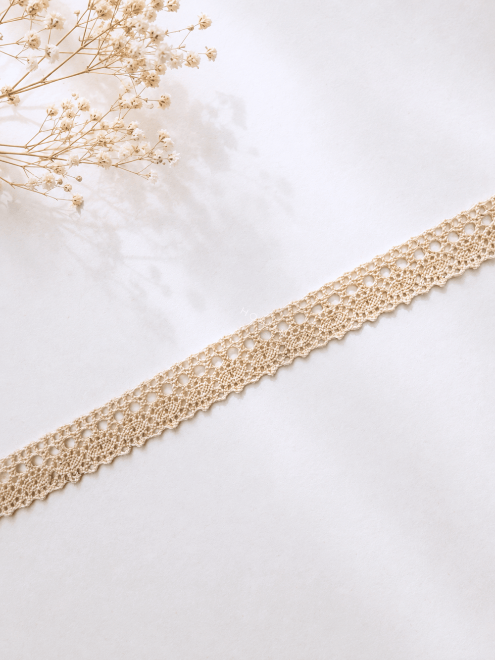 Cotton Lace - DANT-02 - by-the-metre