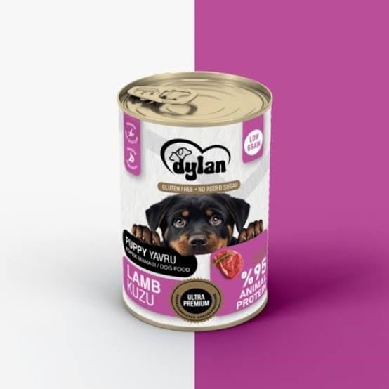DYLON KÖPEK MAMASI KONSRV. 400 GR KUZU