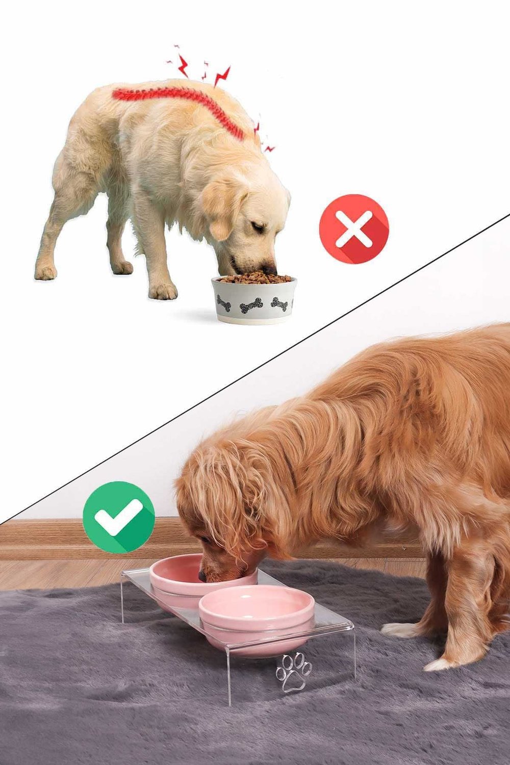 2li Seramik Dekoratif Kedi Ve Köpek Pleksi Mama & Su Kabı Paspas Pembe