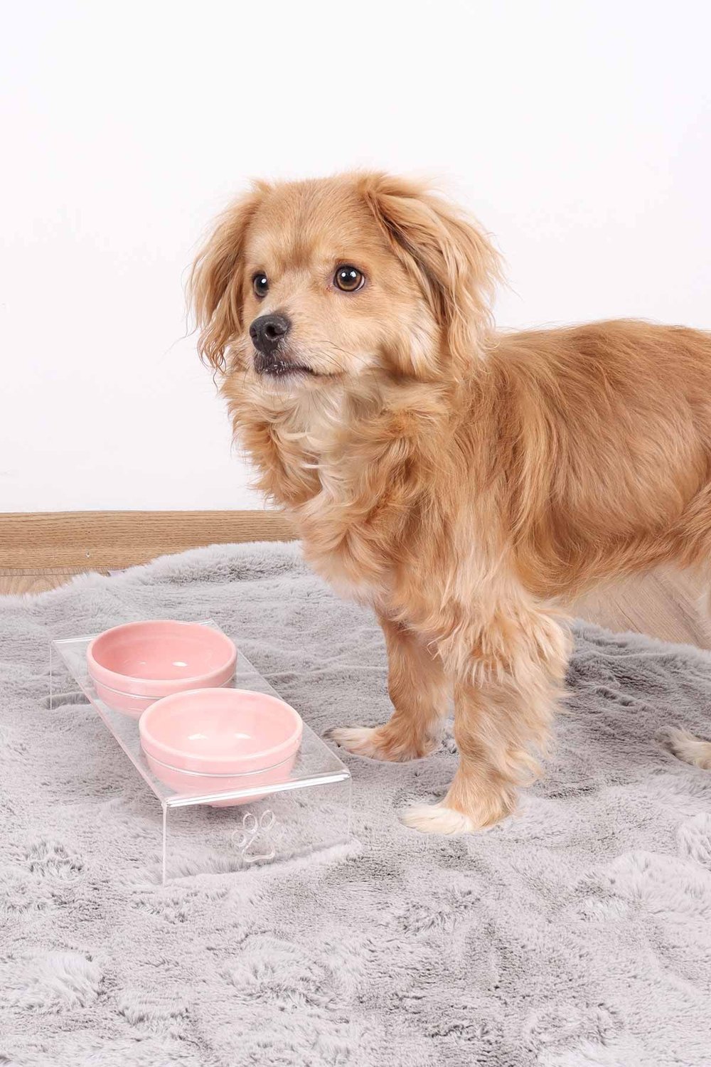 2li Seramik Dekoratif Kedi Ve Köpek Pleksi Mama & Su Kabı Paspas Pembe