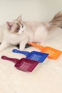 Aralıklı Plastik kedi Kumu Küreği,Temizleme Eleme Küreği Sarı