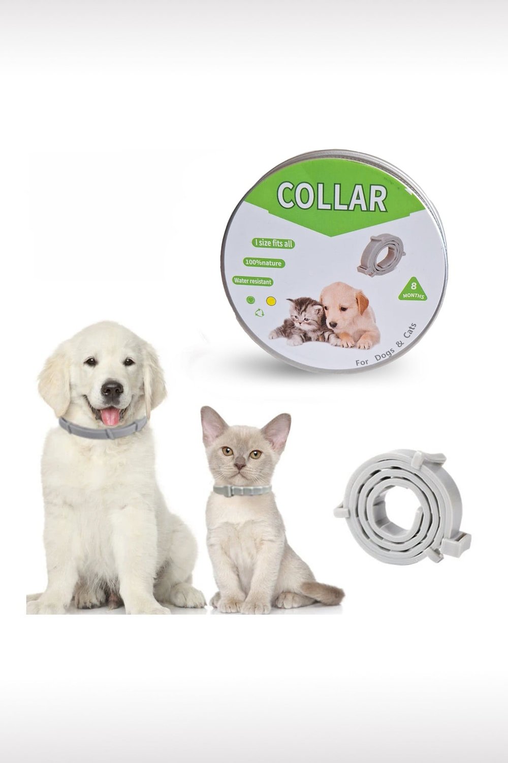 Kedi Anti Pire Kene Önleyici Tasma- 38 Cm Pire Önleyici Tasma, Kene Önleyici Tasma