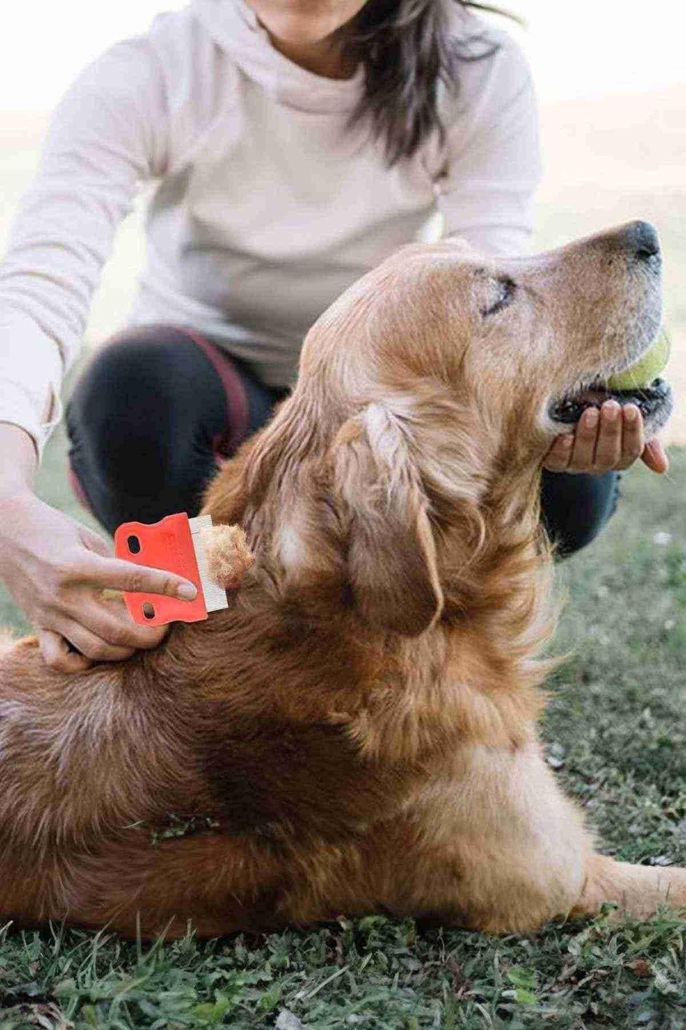 Kedi Köpek Bit ve Pire Tarağı