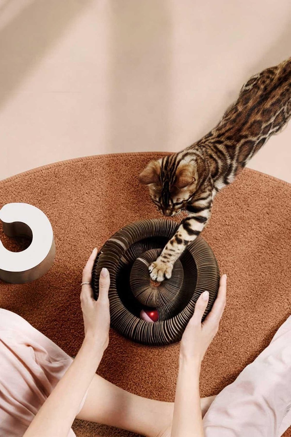 Kedi Tırmalama Oyuncağı, Sihirli Kedi Oyuncağı, Çıngıraklı Tırmalama Panosu, Kedi Oyuncağı
