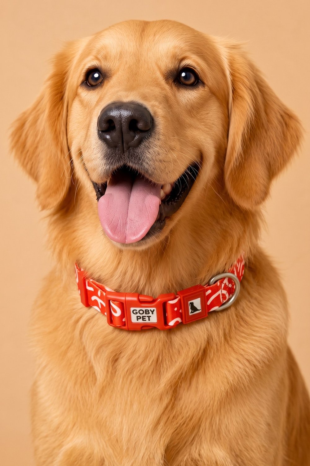 Köpekler İçin Dayanıklı Ve Güvenli, Desenli Boyun Tasması ( 25mm )