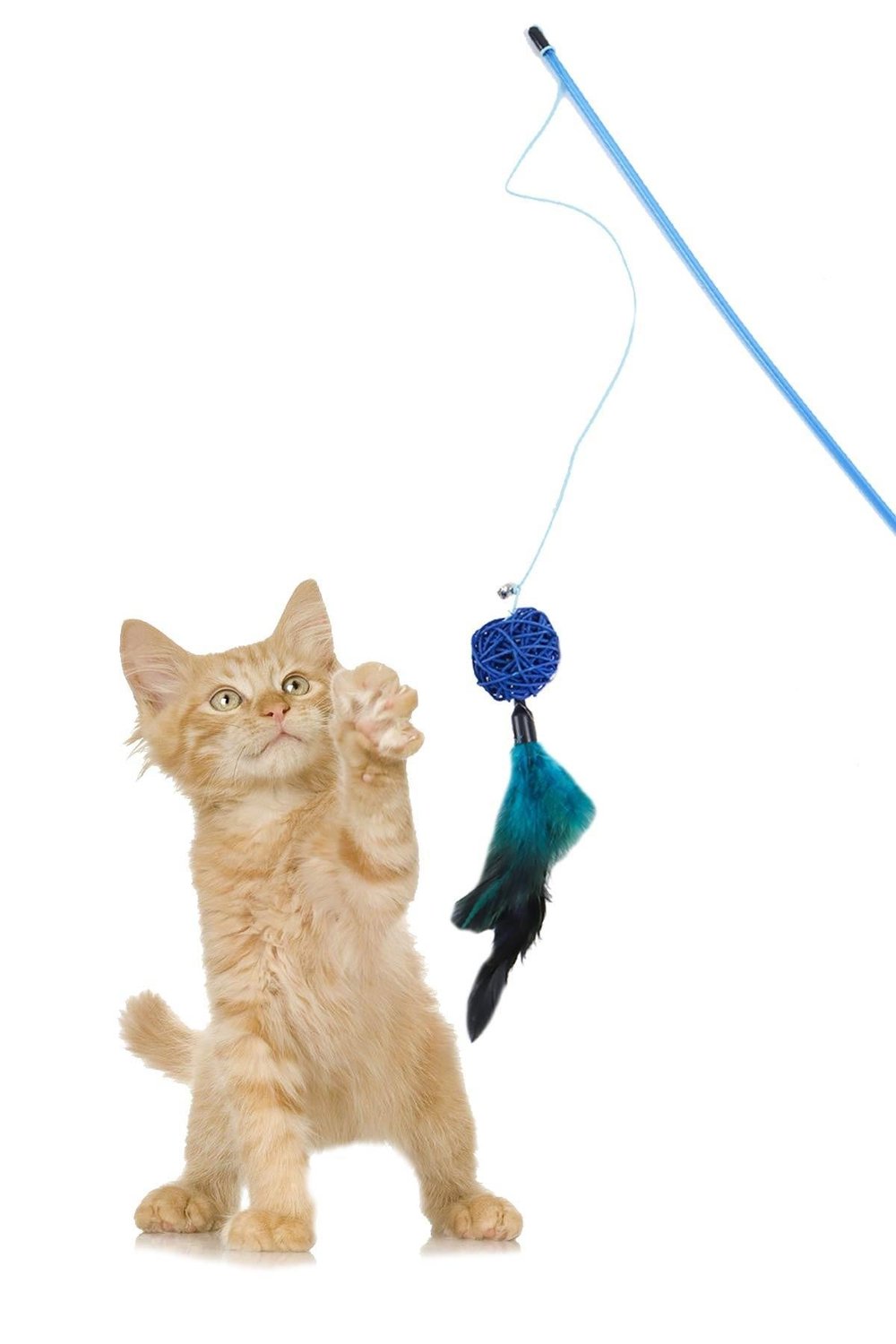 Tüylü Kedi Oltası, Mavi Toplu  Kedi Oyun Oltası
