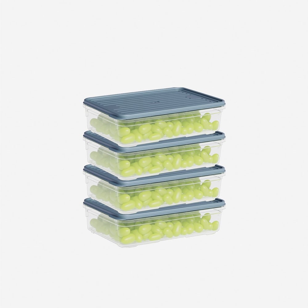 4 Parça Smart Saklama Kabı Set (4 x 1100 ml)