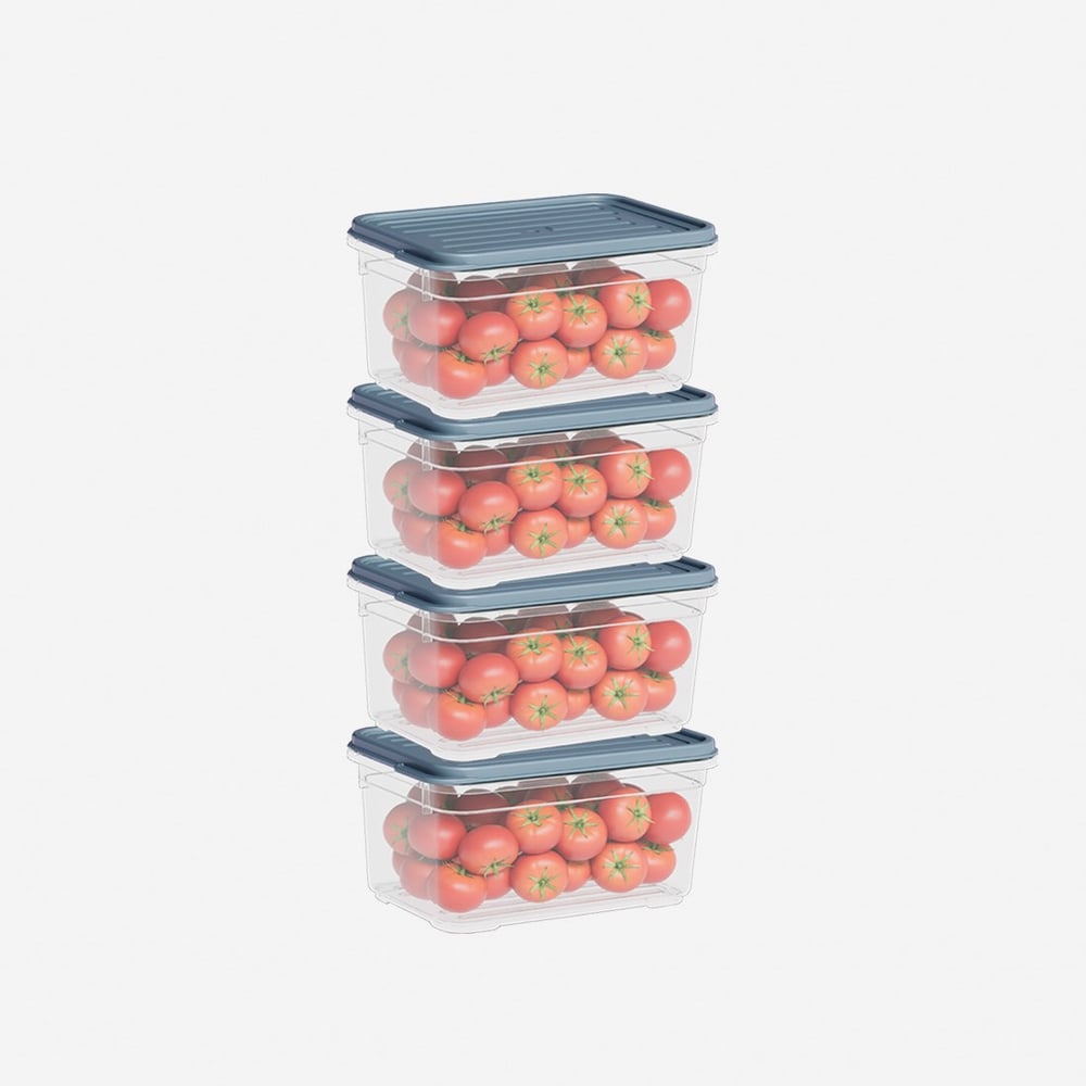 4 Parça Smart Saklama Kabı Set (4 x 700 ml)