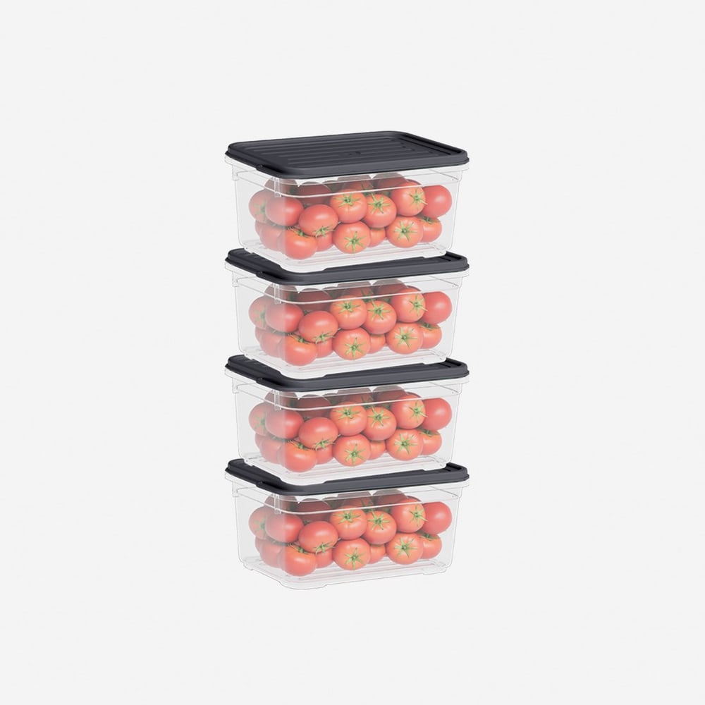 4 Parça Smart Saklama Kabı Set (4 x 700 ml)