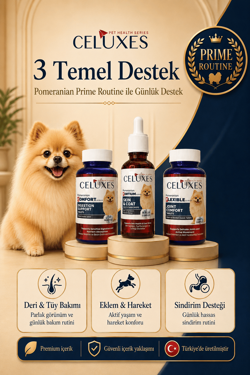 Pomeranian Prime Routine Paketi
