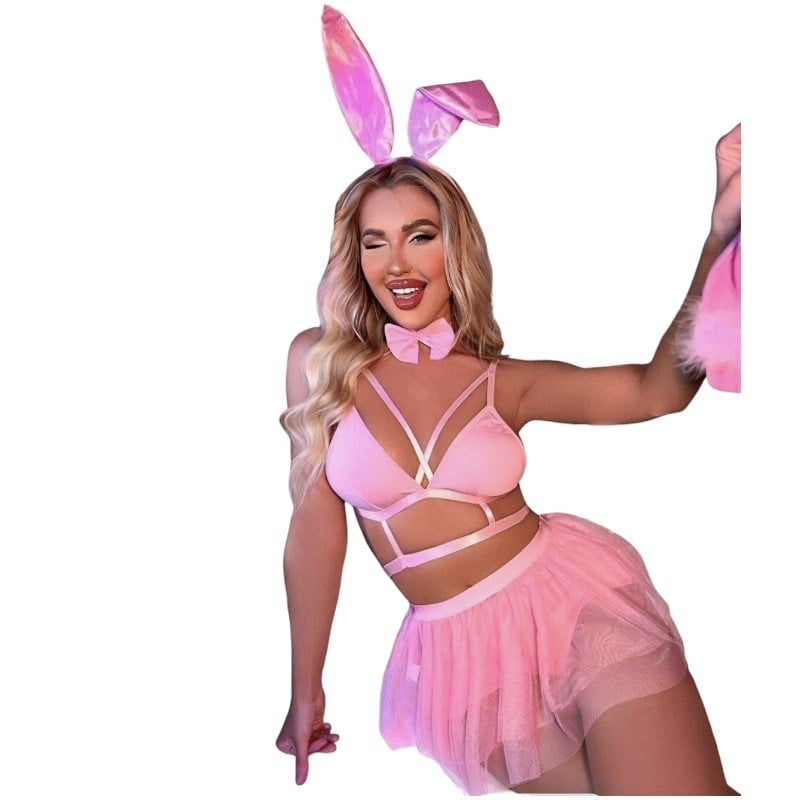 Fantezi Kadın Pembe Tavşan 4 parça Set