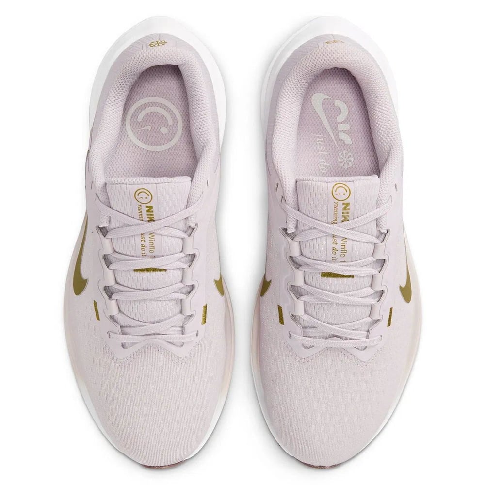 NIKE W AIR WINFLO 10 KADIN SPOR AYAKKABI DV4023