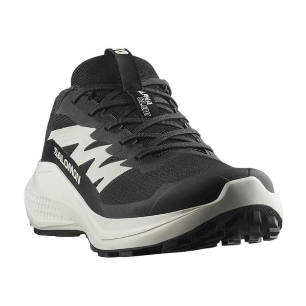 SALOMON ALPHAGLIDE ERKEK OUTDOOR AYAKKABI L47801000