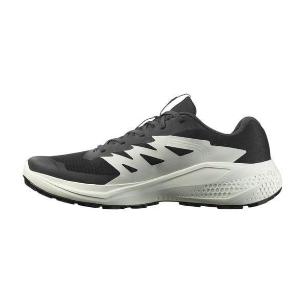 SALOMON ALPHAGLIDE ERKEK OUTDOOR AYAKKABI L47801000