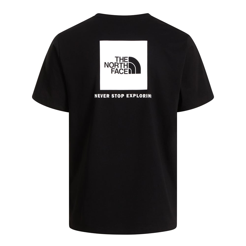 THE NORTH FACE M EVOLUTION BOX NSE REGULAR SS ERKEK TİŞÖRT NF0A8B6KKY41