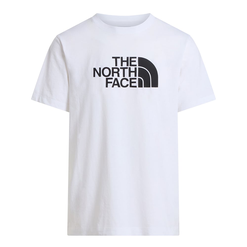 THE NORTH FACE M EVOLUTION HALF DOME REGULAR SS ERKEK TİŞÖRT NF0A8B6JLA91