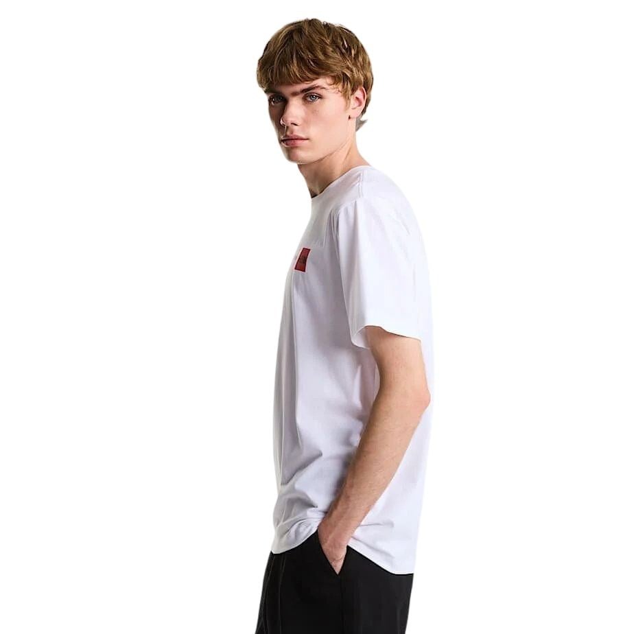 THE NORTH FACE M NSE REG SS TEE-GRAPHIC ERKEK TİŞÖRT NF0A8GUVFN41