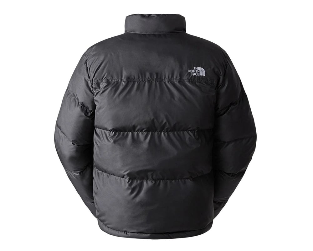 THE NORTH FACE M SAIKURU JACKET ERKEK MONT NF0A853IJK31