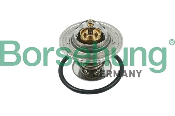 BORSEHUNG B13141 Termostat 026121119 uygun fiyat hızlı kargo
