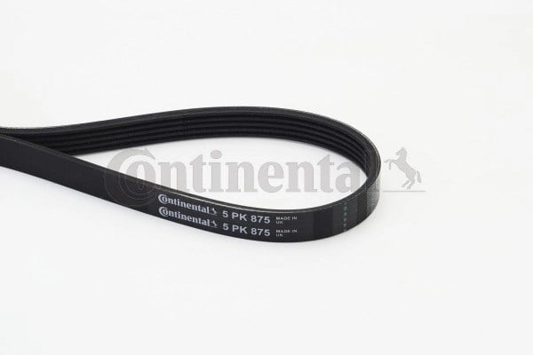 CONTINENTAL 5PK875 V Kayışı 31110PK1003 uygun fiyat hızlı kargo