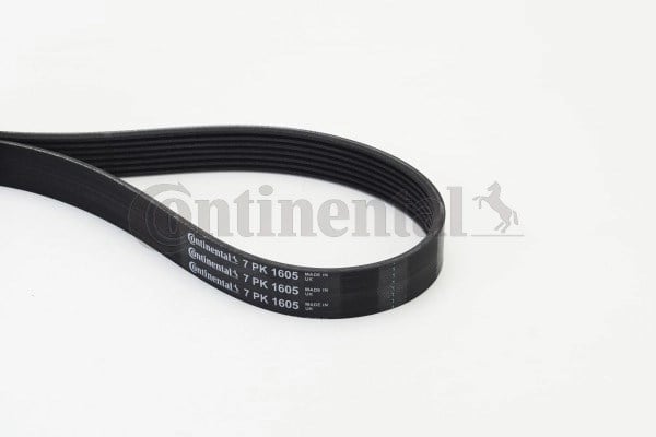 CONTINENTAL 7PK1605 V Kayışı 11281736986 uygun fiyat hızlı kargo
