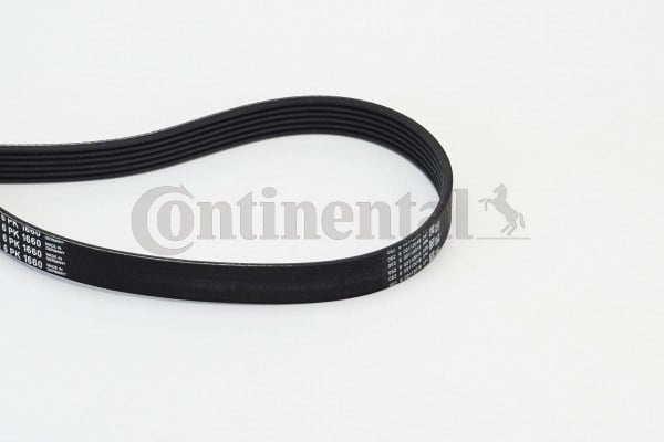 CONTINENTAL 6PK1660 V Kayışı 038903137J uygun fiyat hızlı kargo