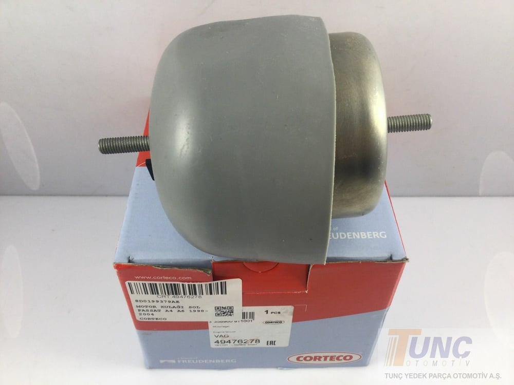 Motor Kulağı