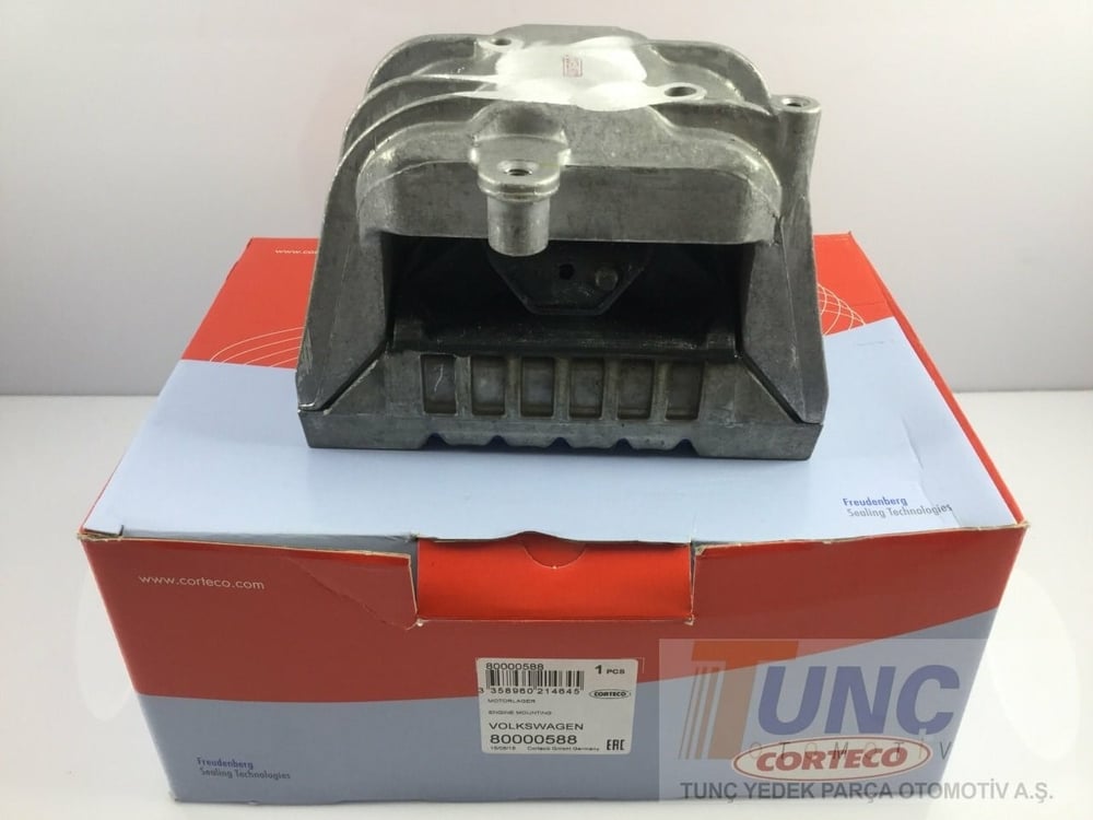 Motor Kulağı