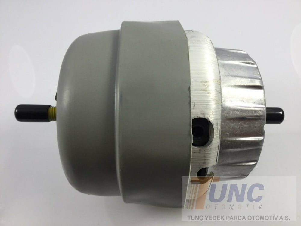 Motor Kulağı