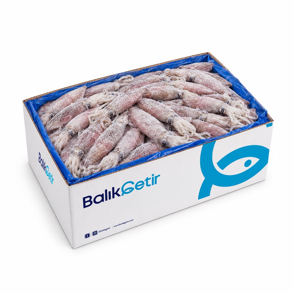 Naturel (Kirli) Kalamar 3-6