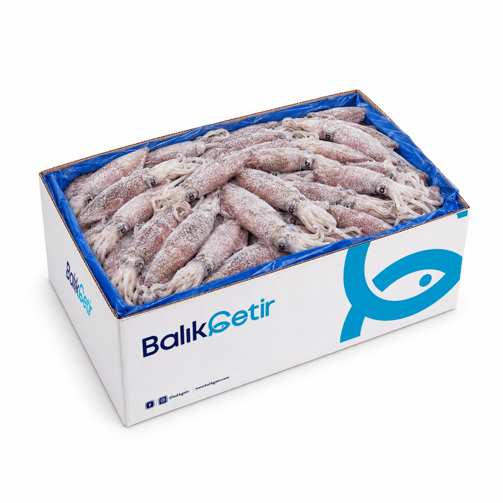 Naturel (Kirli) Kalamar 6-10