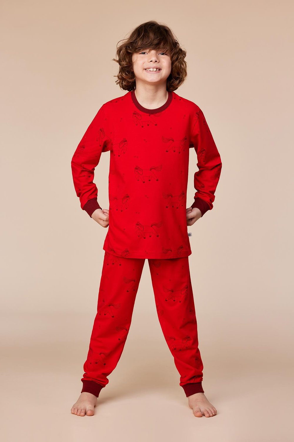 2-8 Yaş Erkek Çocuk Pijama
