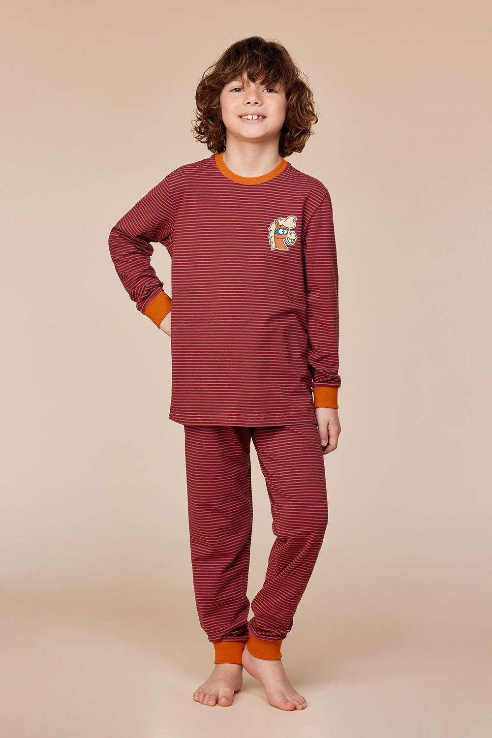 2-8 Yaş Erkek Çocuk Pijama