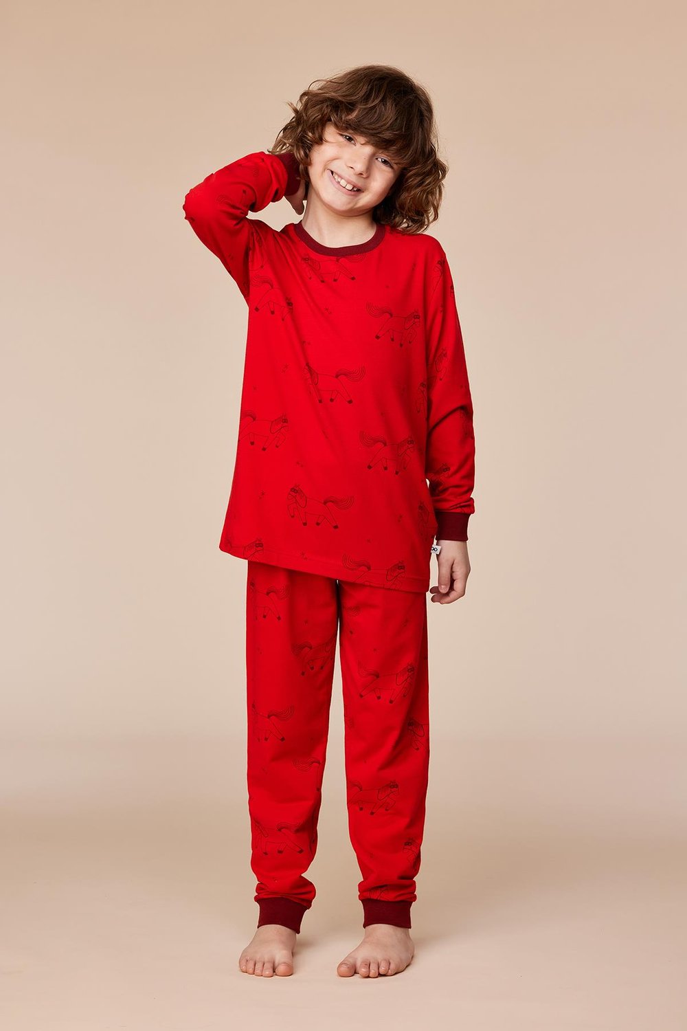 2-8 Yaş Erkek Çocuk Pijama