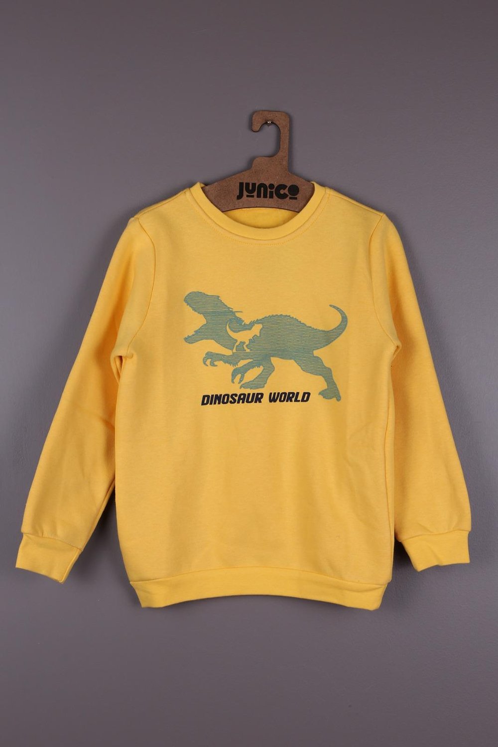AZ ŞARDONLU DİNOZOR ÜST