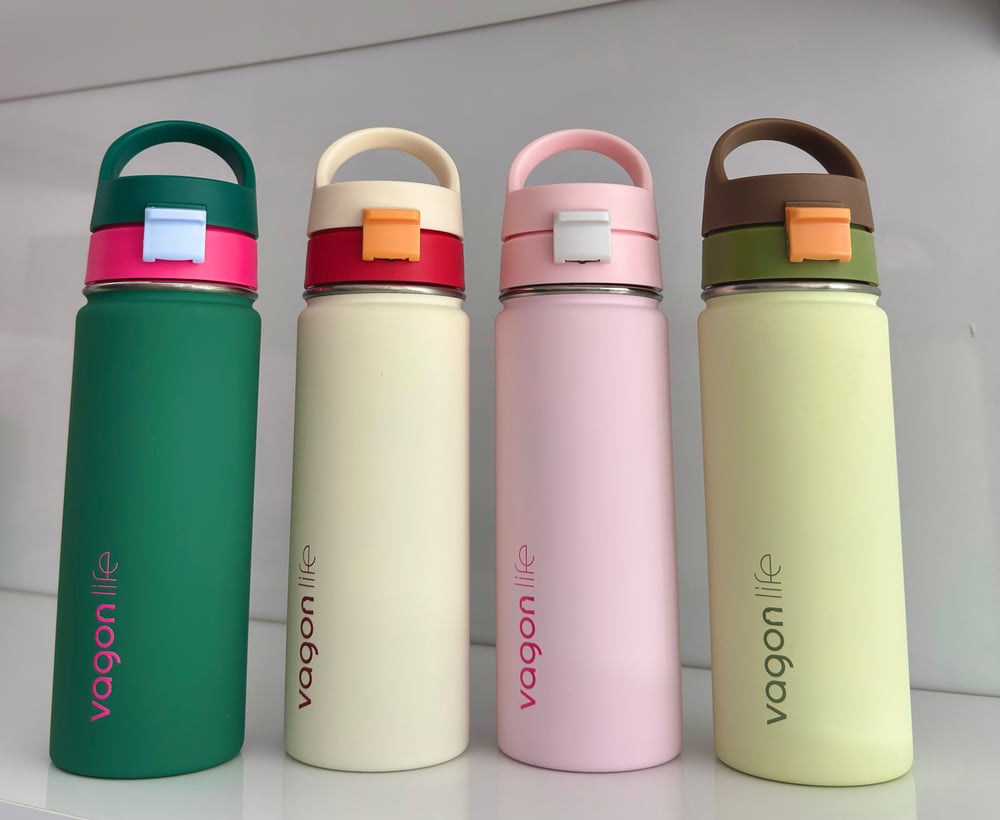 VgnLife 550 Ml Çelik Çift İçimli  Sade Model Termos Suluk 
