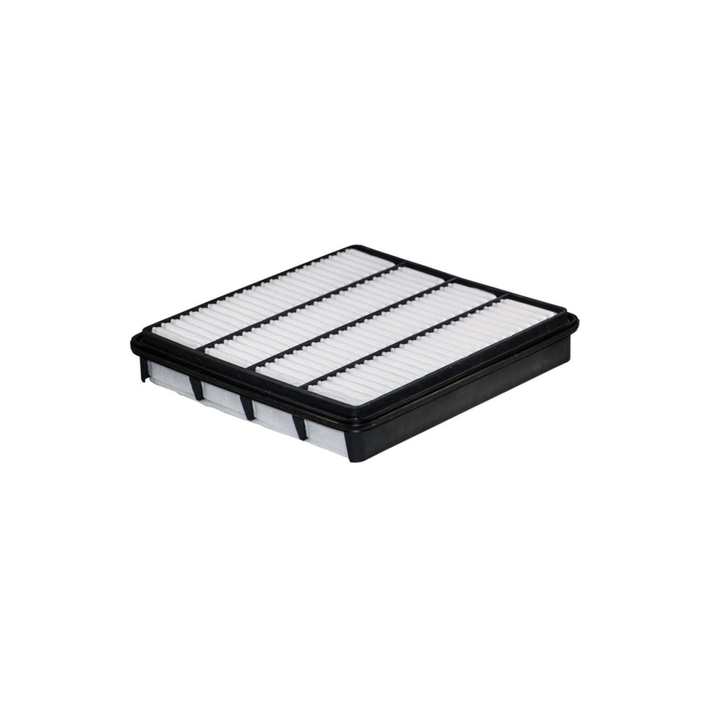 Filtron AP143/6 Hava Filtresi
