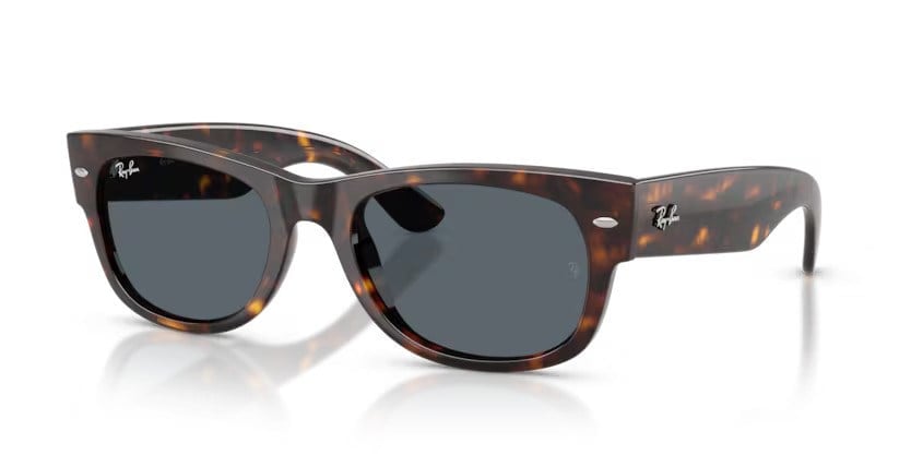 RAY-BAN 0832S 902/R5